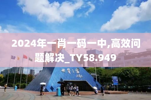 2024年一肖一码一中,高效问题解决_TY58.949