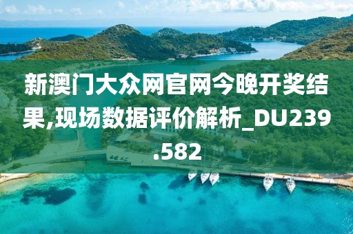 新澳门大众网官网今晚开奖结果,现场数据评价解析_DU239.582