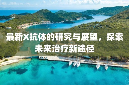 最新X抗体的研究与展望，探索未来治疗新途径