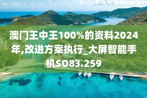 澳门王中王100%的资料2024年,改进方案执行_大屏智能手机SO83.259