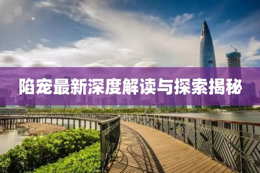 陷宠最新深度解读与探索揭秘