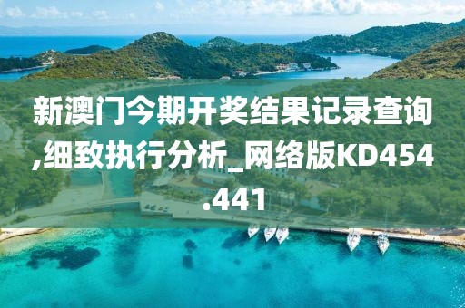 新澳门今期开奖结果记录查询,细致执行分析_网络版KD454.441