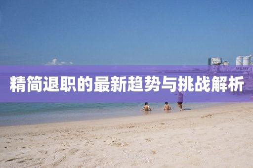 精简退职的最新趋势与挑战解析