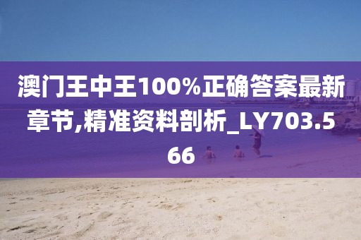 澳门王中王100%正确答案最新章节,精准资料剖析_LY703.566