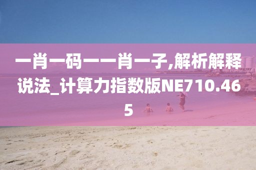 一肖一码一一肖一子,解析解释说法_计算力指数版NE710.465