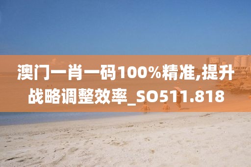 澳门一肖一码100%精准,提升战略调整效率_SO511.818