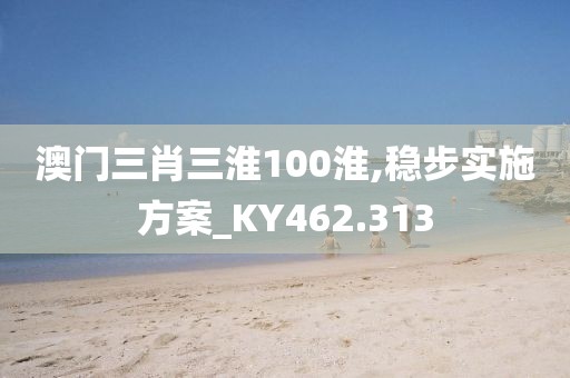 澳门三肖三淮100淮,稳步实施方案_KY462.313