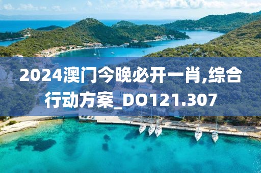 2024澳门今晚必开一肖,综合行动方案_DO121.307