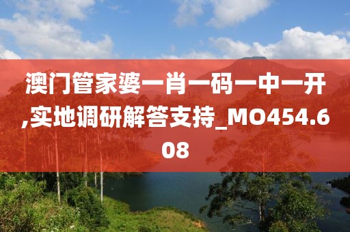 澳门管家婆一肖一码一中一开,实地调研解答支持_MO454.608