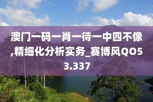澳门一码一肖一待一中四不像,精细化分析实务_赛博风QO53.337