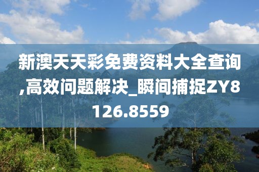 新澳天天彩免费资料大全查询,高效问题解决_瞬间捕捉ZY8126.8559