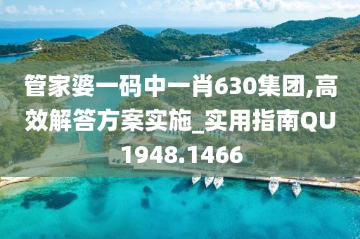 管家婆一码中一肖630集团,高效解答方案实施_实用指南QU1948.1466