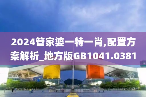 2024管家婆一特一肖,配置方案解析_地方版GB1041.0381
