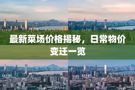 最新菜场价格揭秘，日常物价变迁一览