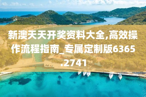 新澳天天开奖资料大全,高效操作流程指南_专属定制版6365.2741