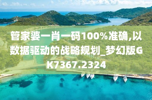 管家婆一肖一码100%准确,以数据驱动的战略规划_梦幻版GK7367.2324
