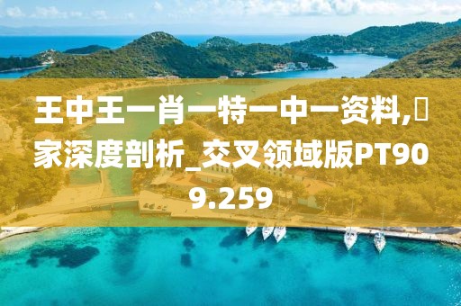 王中王一肖一特一中一资料,專家深度剖析_交叉领域版PT909.259