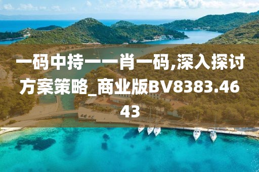 一码中持一一肖一码,深入探讨方案策略_商业版BV8383.4643