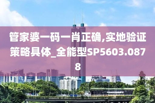 管家婆一码一肖正确,实地验证策略具体_全能型SP5603.0878