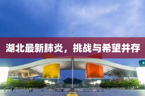 湖北最新肺炎，挑战与希望并存