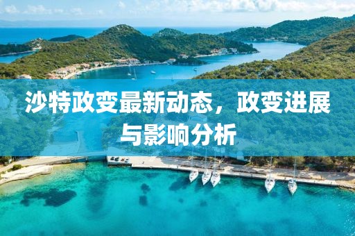 沙特政变最新动态，政变进展与影响分析