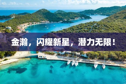 金瀚，闪耀新星，潜力无限！