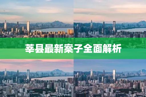 莘县最新案子全面解析