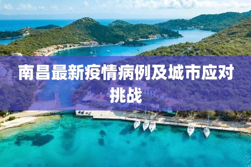 南昌最新疫情病例及城市应对挑战