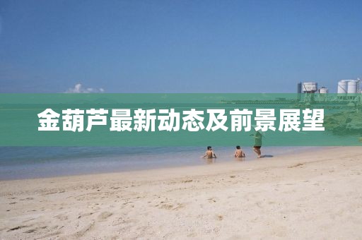 金葫芦最新动态及前景展望