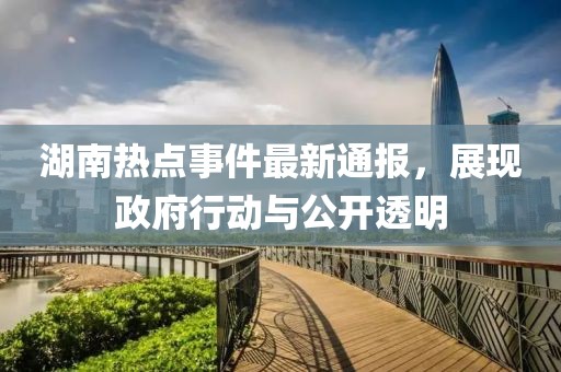 湖南热点事件最新通报，展现政府行动与公开透明