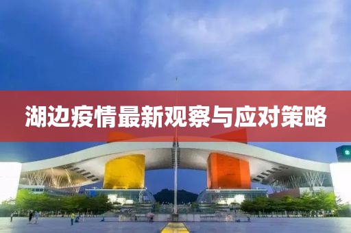 湖边疫情最新观察与应对策略