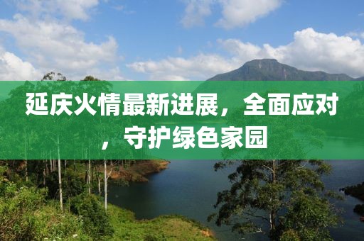 延庆火情最新进展，全面应对，守护绿色家园