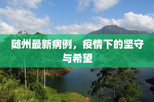 随州最新病例，疫情下的坚守与希望