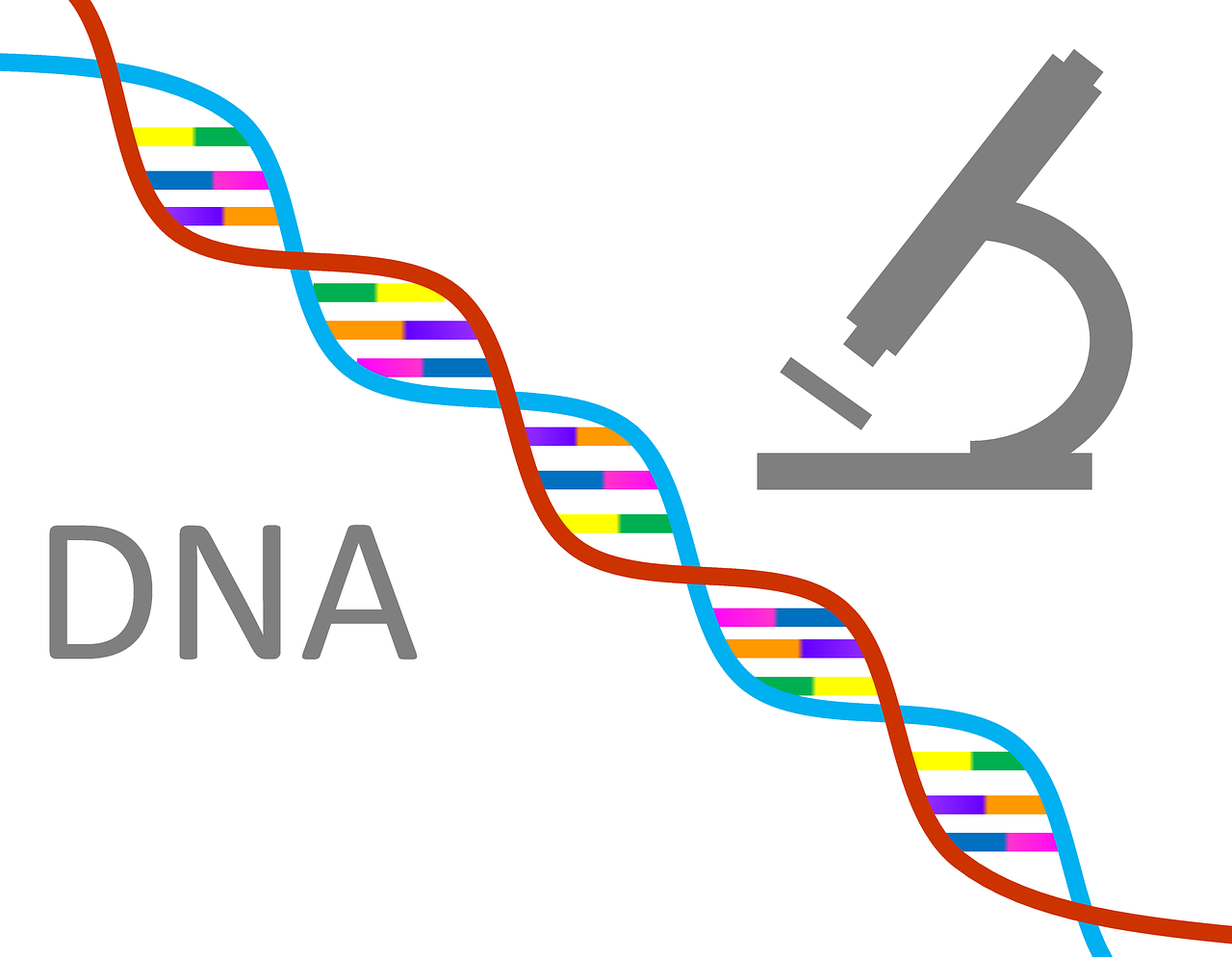 探索生命科学新领域与趋势，生物最新考点解析