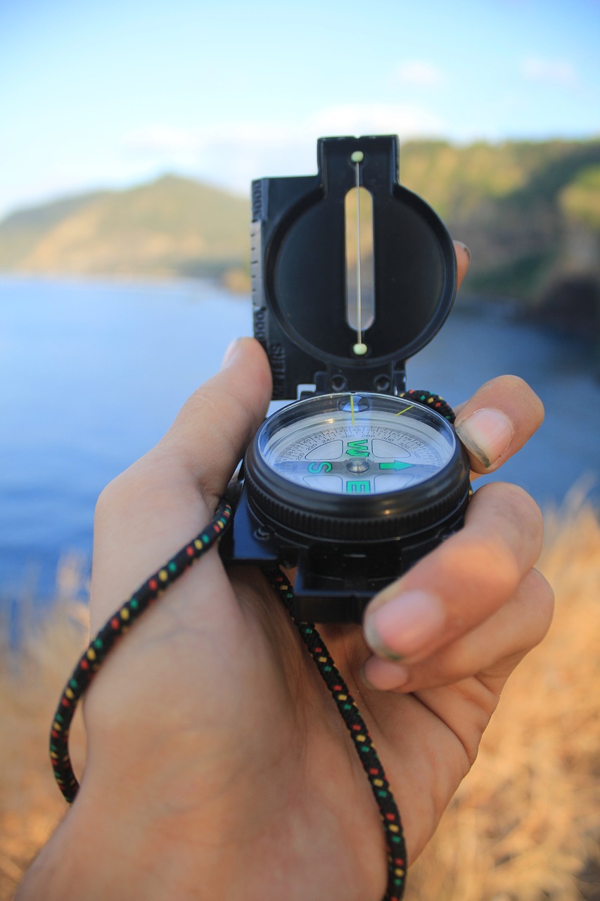 最新电影逆深度解析，探索未知的旅程