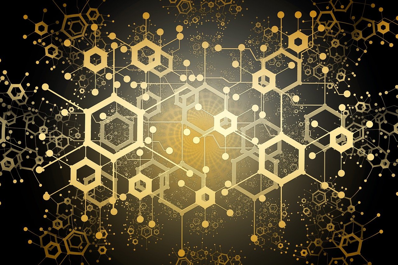 澳门广东八二站免费资料查询,调和之道：息法策略的平衡艺术_工具集MX827.152