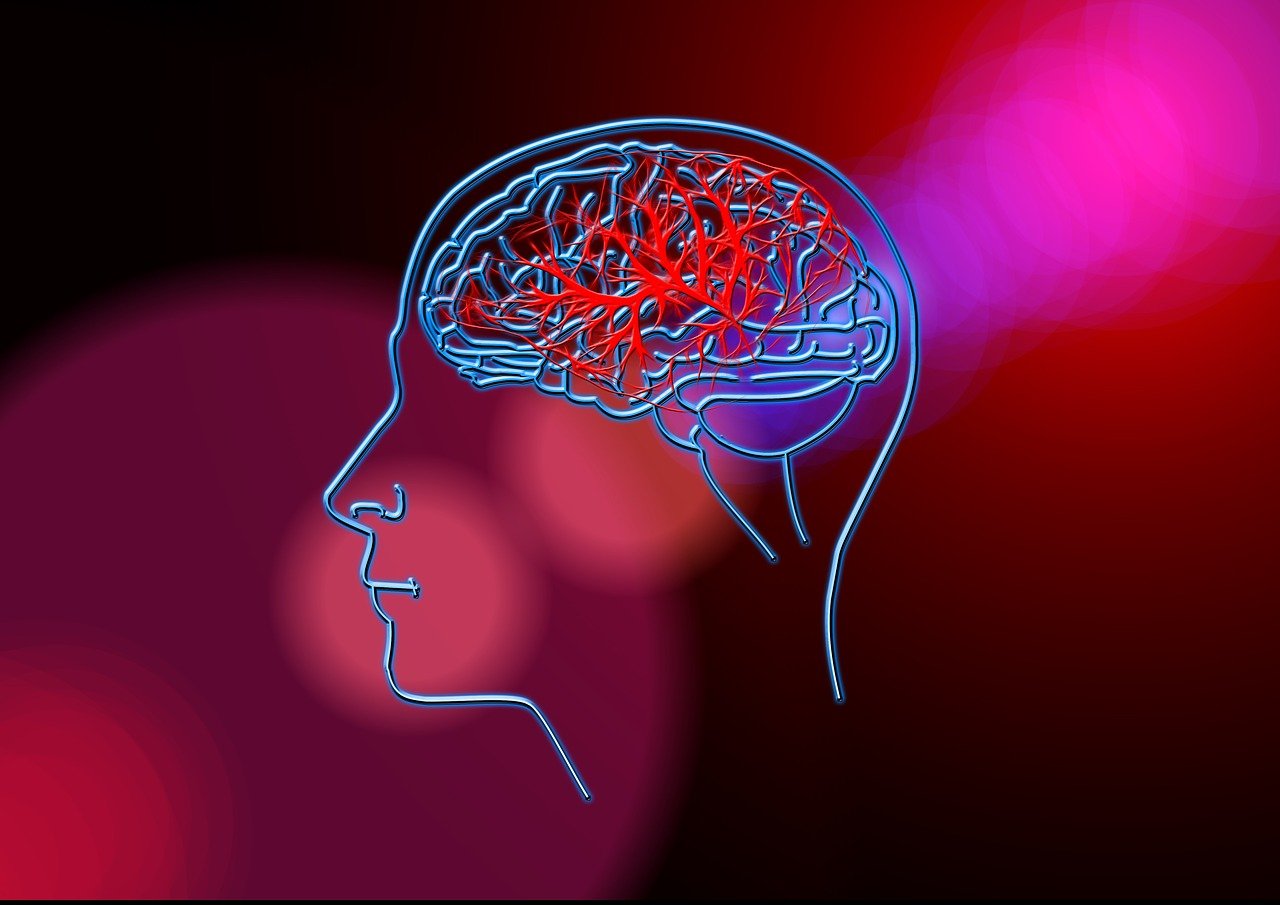 艺术与科学的完美结合，最新恐龙绘画作品欣赏