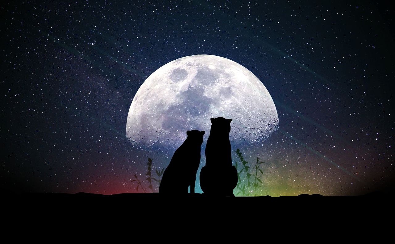 揭秘宇宙盲点奥秘，最新宇宙探索之旅