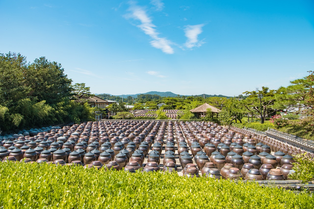 探索现代农业新词汇与理念，农场最新叫法和理念革新