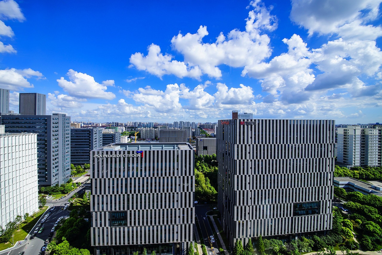最新上海直播，展现城市魅力的璀璨舞台