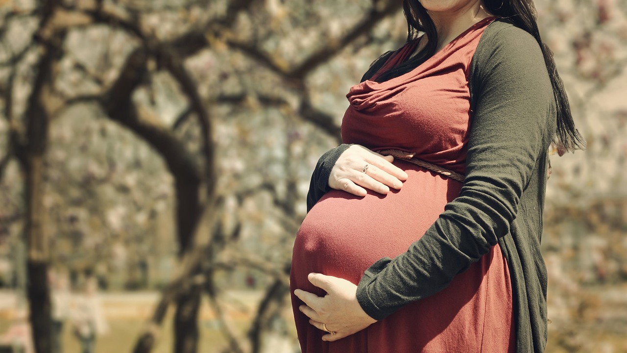 孕期生活多维度视角下的最新孕妇小说探索