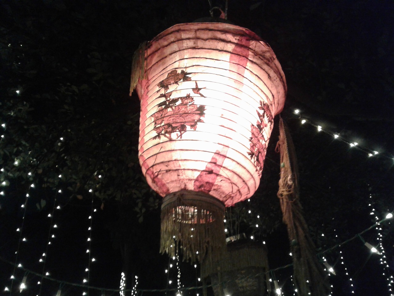 名门夜宴最新魅力，文化与奢华的盛宴开启之夜