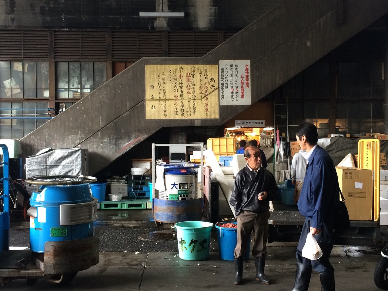 鱼市场最新行情及深度分析