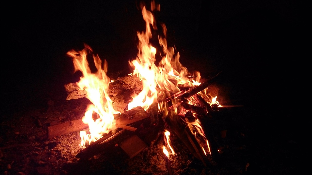 电影盛宴之夜，双龙会的独特魅力与深度解读