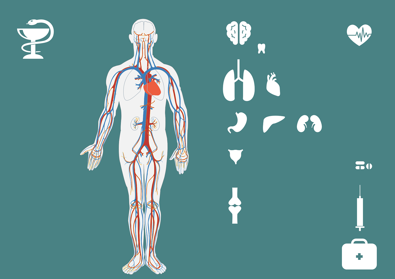 五月最新疫情腹泻情况报告，关于当前疫情腹泻状况的详细分析