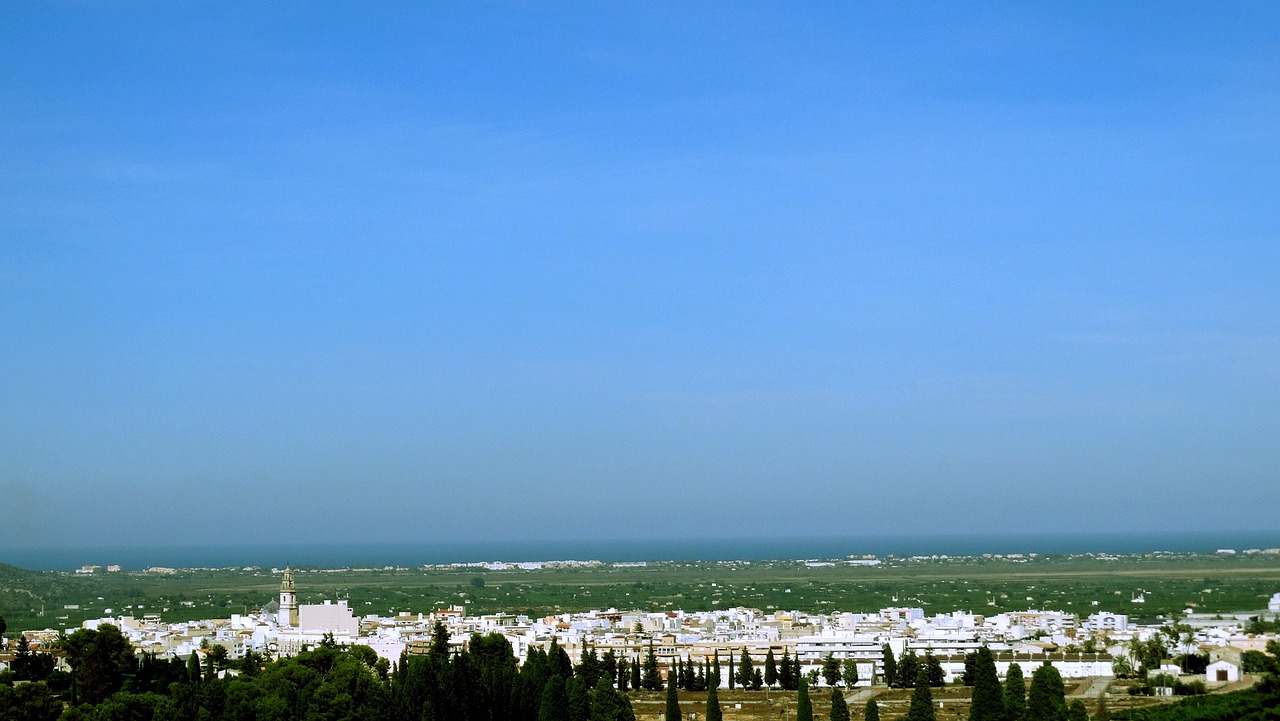五月上海网约车市场最新动态报告