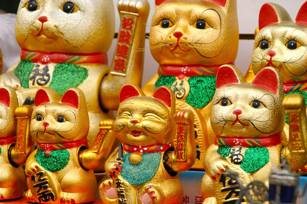 五月猫咪生活趣闻，小确幸与温馨瞬间