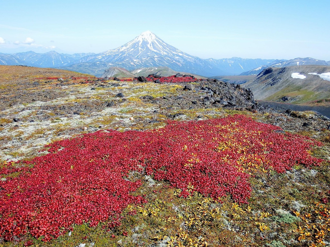 五月农村路边风景图片，自然之美的绽放