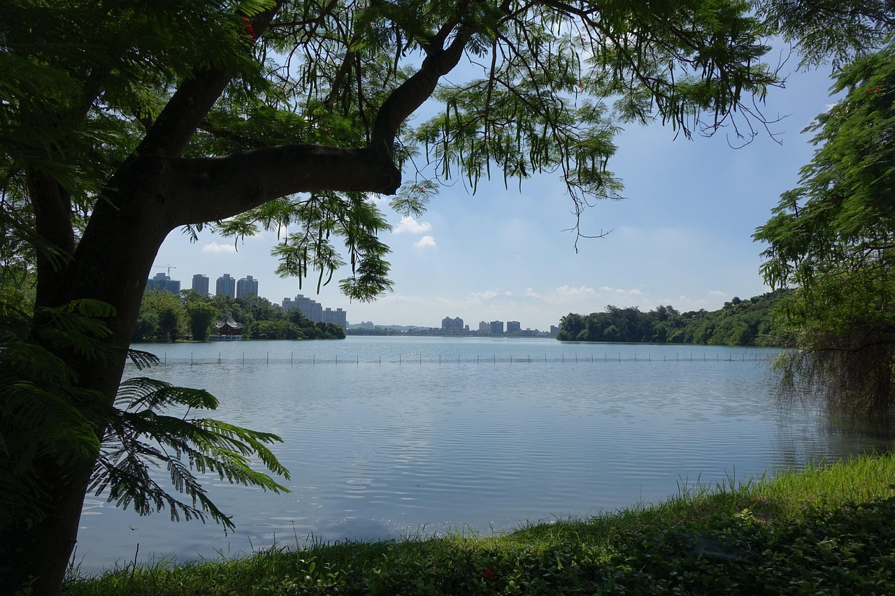 五月翻阳湖最新美景与活动一览