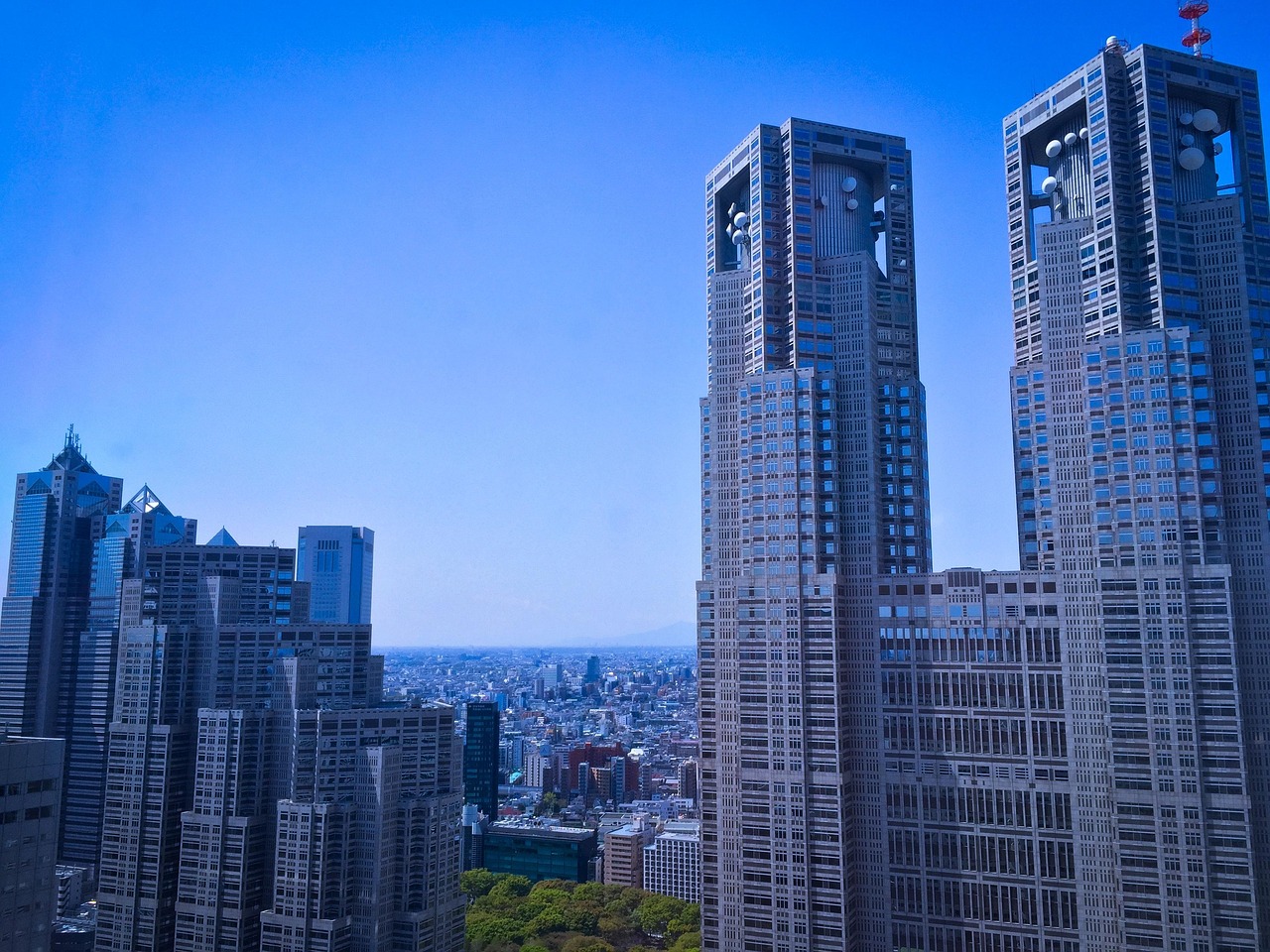 五月厦门上市公司名单揭晓，44家企业闪耀鹭岛